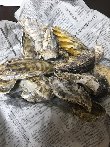 Comentarii opinii despre さかなの金川