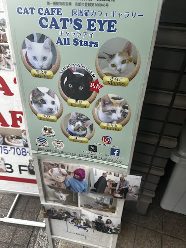 Opinii despre 猫カフェギャラリーキャッツアイ în 京都市 - 飲食業