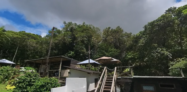 Opinii despre 中山コーヒー園 Nakayama Coffee Farm în 名護市 - 飲食業