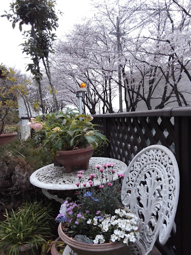 〒504-0915 岐阜県各務原市三井山町１丁目２３