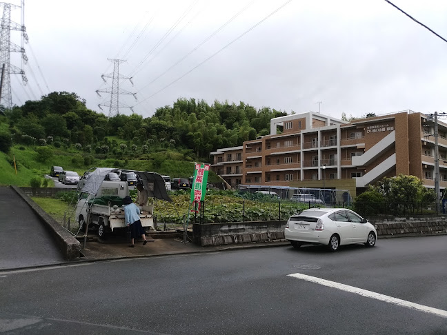 Opinii despre 岡津幼稚園入口野菜直売所 în 横浜市 - 飲食業