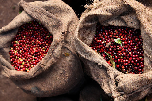 〒238-0022 神奈川県横須賀市公郷町１丁目４３ 滝田 ビル 102