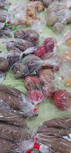 ANTONIO 青果 - 北九州市