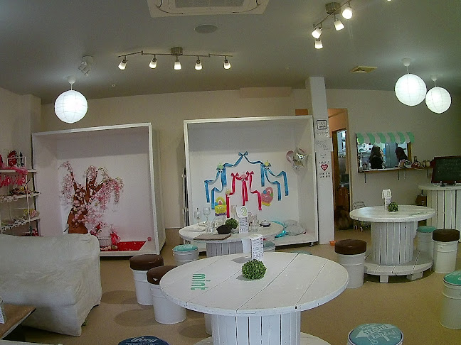 Opinii despre Dog 🐾café & Bar mint(ドッグカフェミント) în 堺市 - 飲食業