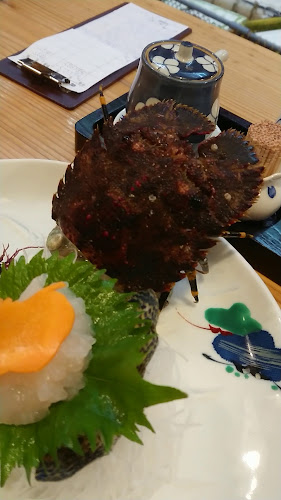 Comentarii opinii despre さかなちゃん