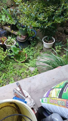 コーヒーハウス アロマ