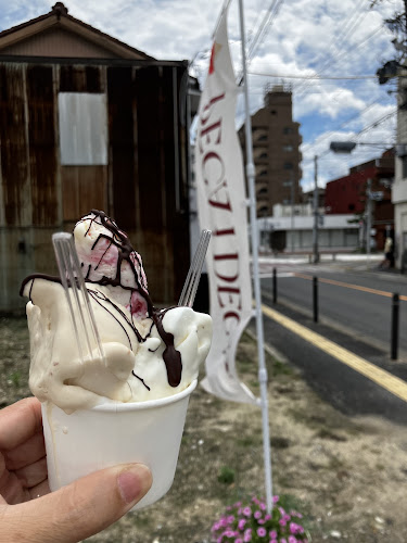 Comentarii opinii despre PECA i DECA.