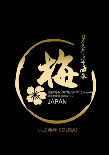 Comentarii opinii despre アロンディール島之内