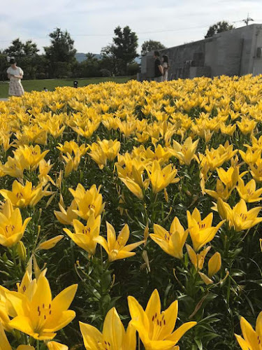 スナック INFINITY - 飲食業