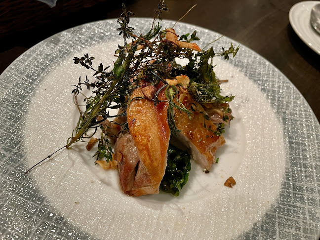 Comentarii opinii despre Lucio(ルチオ)