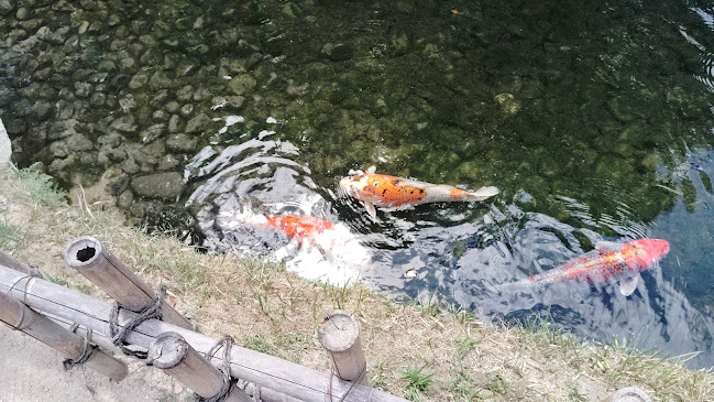 さざなみ茶屋 - 飲食業