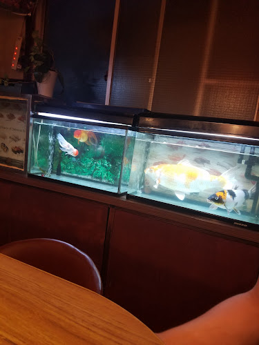 〒657-0025 兵庫県神戸市灘区高徳町６丁目３−１０ グランディア六甲Storia