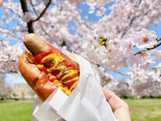 ライオンドッグ - 高松市