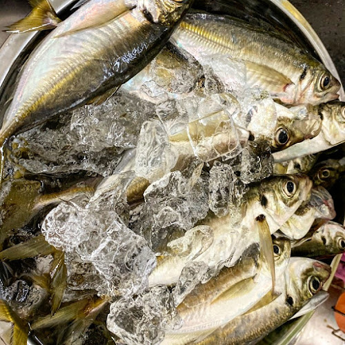 〒274-0805 千葉県船橋市二和東５丁目８−１３