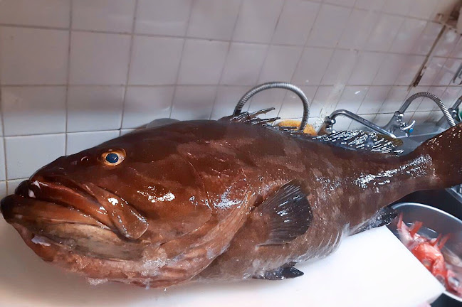 すしの寿々丸 - 伊東市