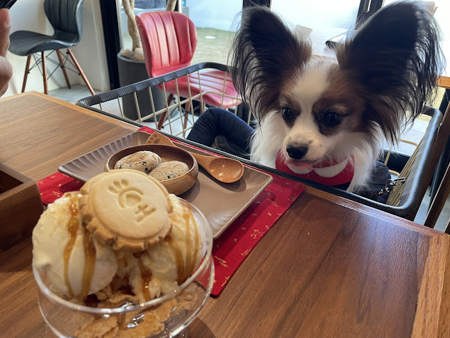 DouDouDo - 船橋市