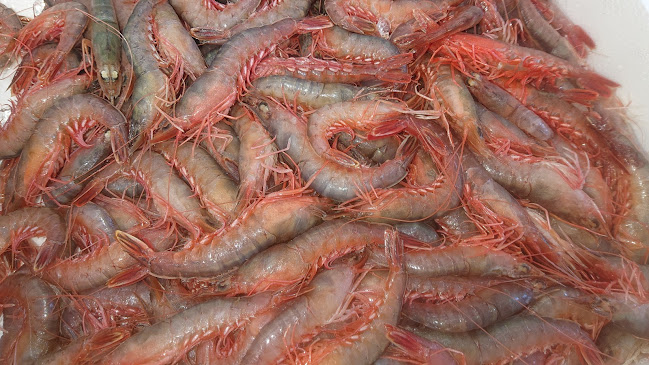 （有）マルエ水産 - 飲食業