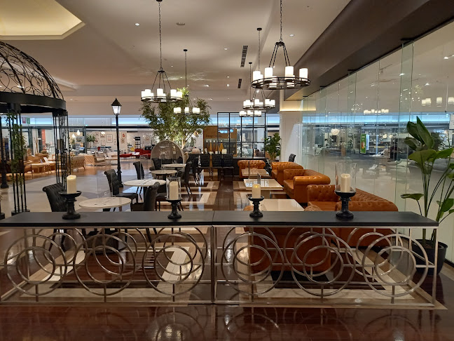 MOA cafe 神戸 - 飲食業