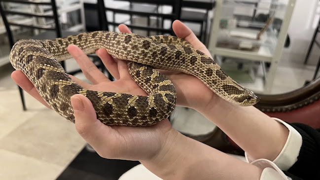 〒150-0001 東京都渋谷区神宮前６丁目５−６ サンポウ綜合ビル 8F