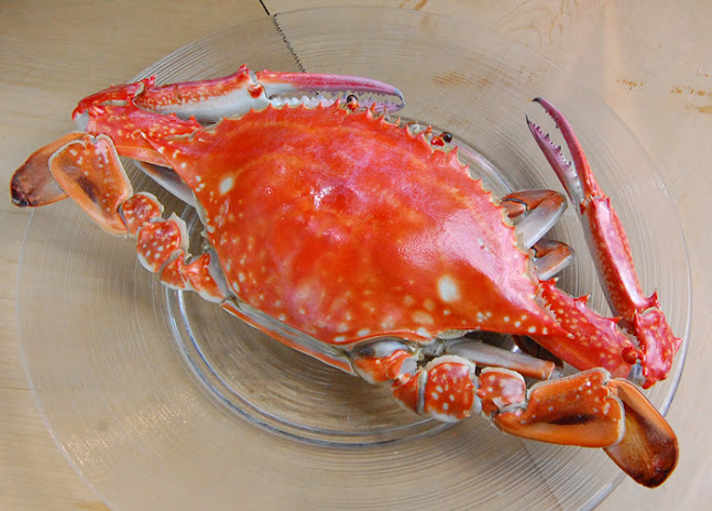 Opinii despre 鮨 清水 三宮 în 神戸市 - 飲食業