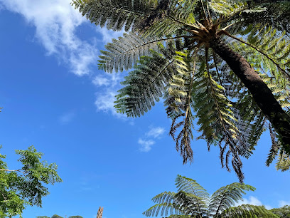 中山コーヒー園 Nakayama Coffee Farm