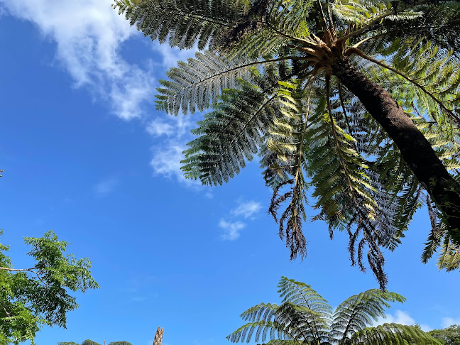 中山コーヒー園 Nakayama Coffee Farm