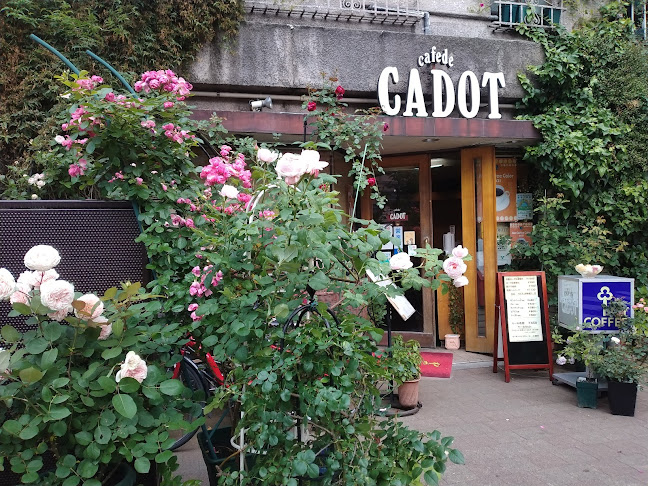 Cafe de CADOT - 飲食業