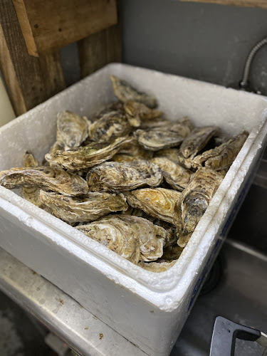 Comentarii opinii despre みのや