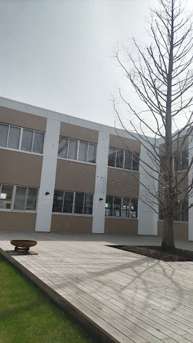 〒004-0031 北海道札幌市厚別区上野幌１条２丁目 カミニシヴィレッジ 内