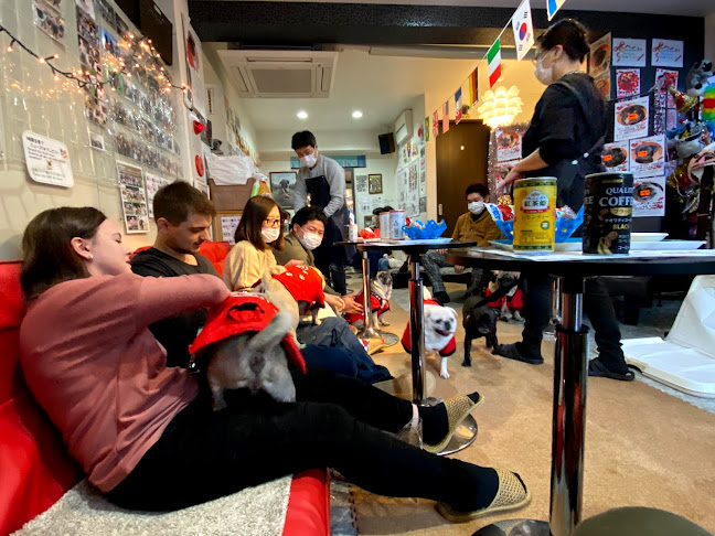 Opinii despre パグカフェ LivingRoom 京都 în 京都市 - 飲食業