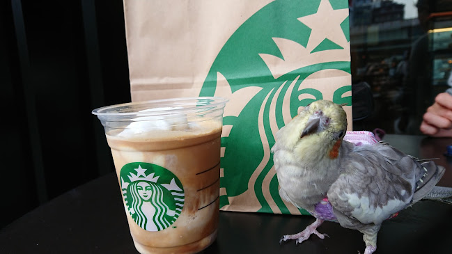 Comentarii opinii despre スターバックス コーヒー 日本橋スルガビル店