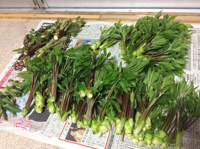 〒461-0005 愛知県名古屋市東区東桜２丁目６−１７ エフォート II1F