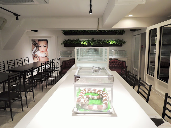 - Cafe & Snake - 東京スネークセンター