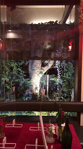 Opinii despre Garden Kitchen 湘南倶楽部 în 世田谷区 - 飲食業