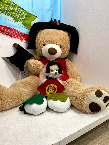 〒587-0043 大阪府堺市美原区青南台２丁目５−７