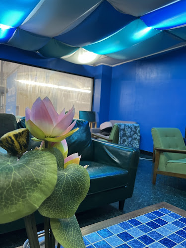 Opinii despre shisha cafe 麗しや睡蓮が華 (天満シーシャ&カフェ)/hookah cafe în 大阪市 - 飲食業