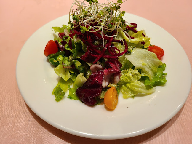 Comentarii opinii despre ベルーガ