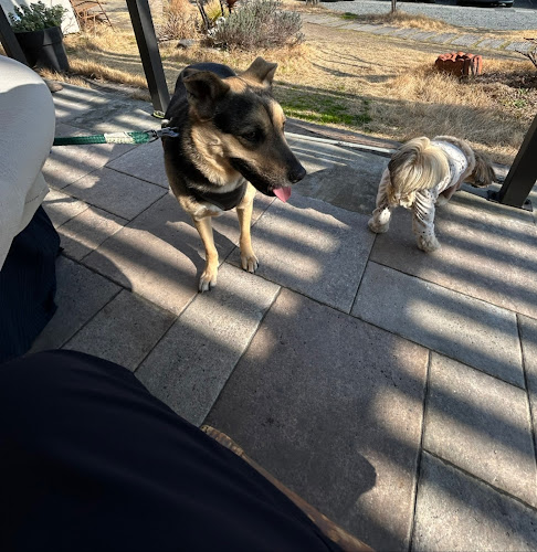 〒525-0022 滋賀県草津市川原町１４９−５