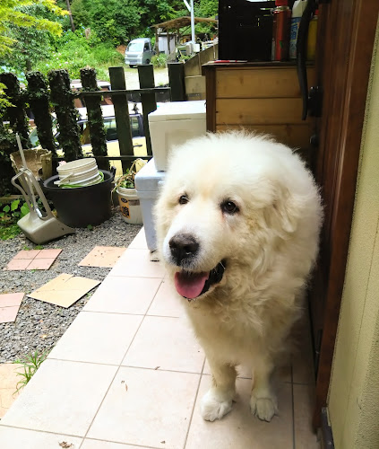 〒630-0246 奈良県生駒市西松ケ丘７−１