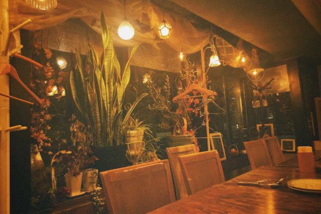 Opinii despre オステリア ジリ în 札幌市 - 飲食業