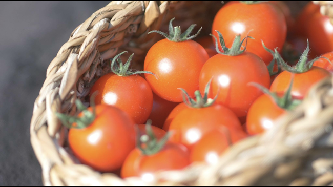 コモンズカフェ Spontane やよい天狗通り - 飲食業