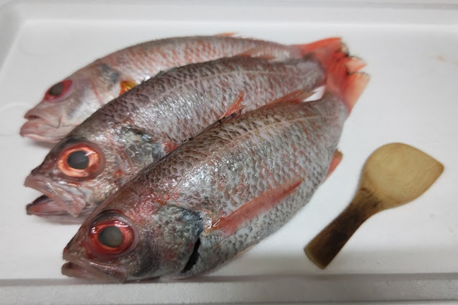 居酒屋食堂 めっし