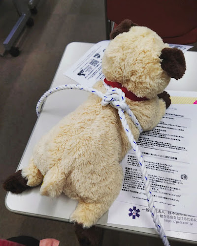 Opinii despre パグカフェ LivingRoom 京都 în 京都市 - 飲食業