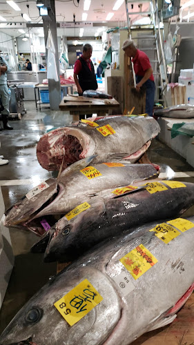 Comentarii opinii despre 豊洲市場