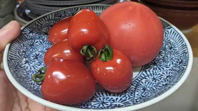 〒737-0051 広島県呉市中央３丁目１１−２２ ＰＡＮビル 2階