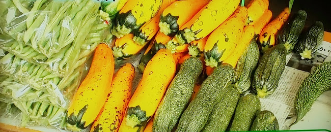 〒249-0006 神奈川県逗子市逗子５丁目２