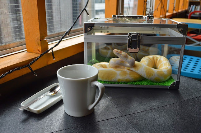 Comentarii opinii despre - Cafe & Snake - 東京スネークセンター