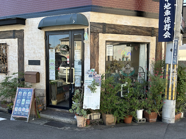 Comentarii opinii despre 服と雑貨＆カフェ 地球館