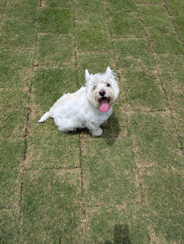 Comentarii opinii despre DouDouDo