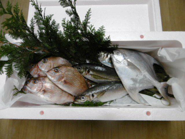 〒670-0017 兵庫県姫路市福中町２０